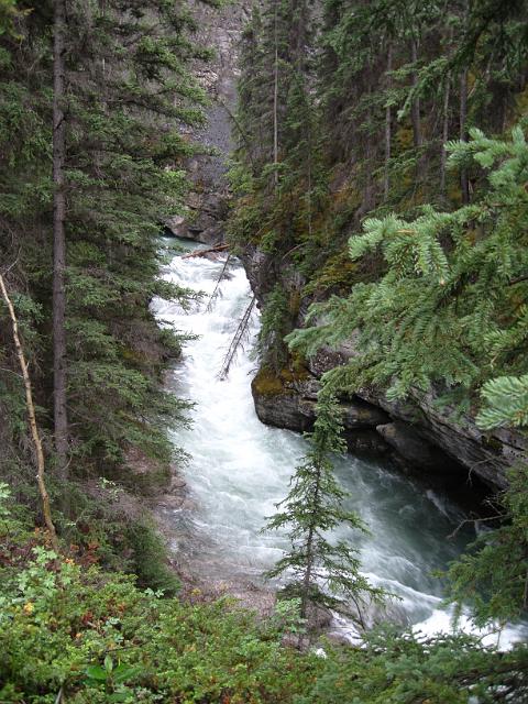 Canadian Rockies-250.JPG - Maligne Canyon